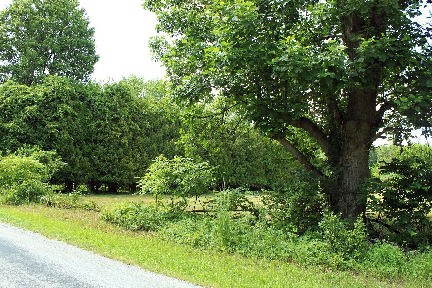 1 Acre of Land for Sale in Winamac, Indiana