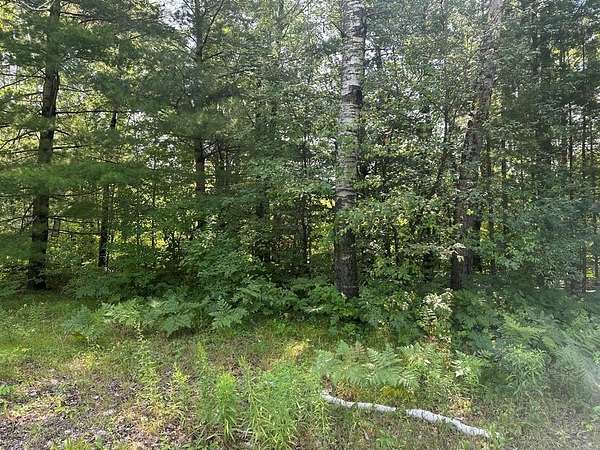 0.9 Acres of Residential Land for Sale in Harrison, Michigan
