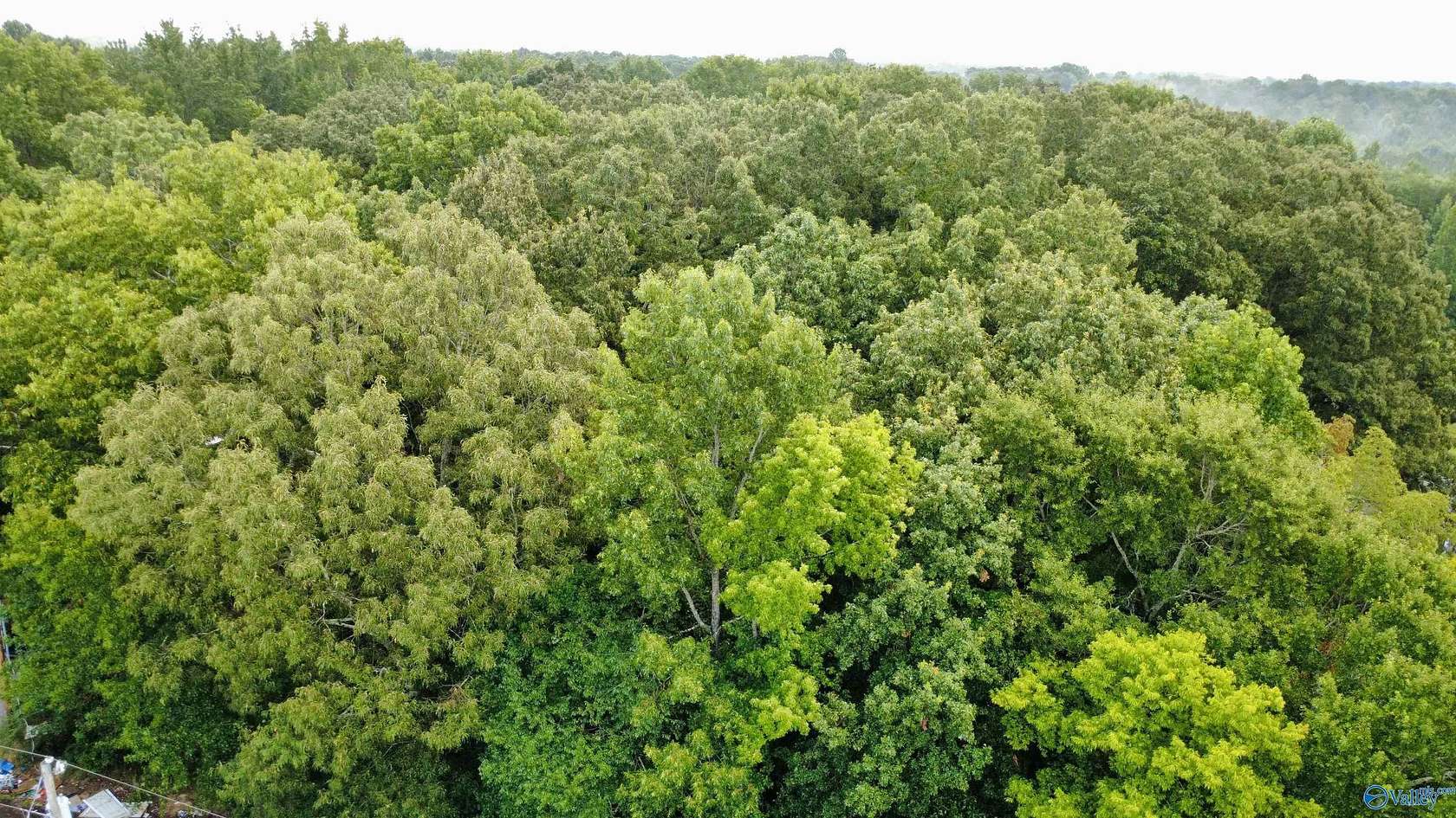 1 Acre of Residential Land for Sale in Hazel Green, Alabama