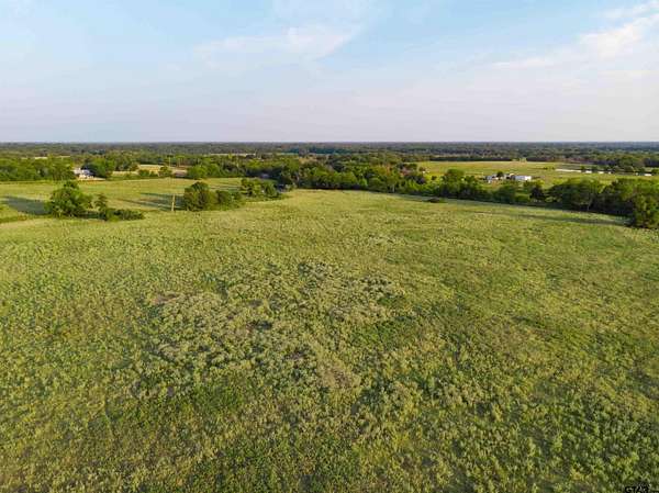 43.1 Acres of Land for Sale in Saltillo, Texas