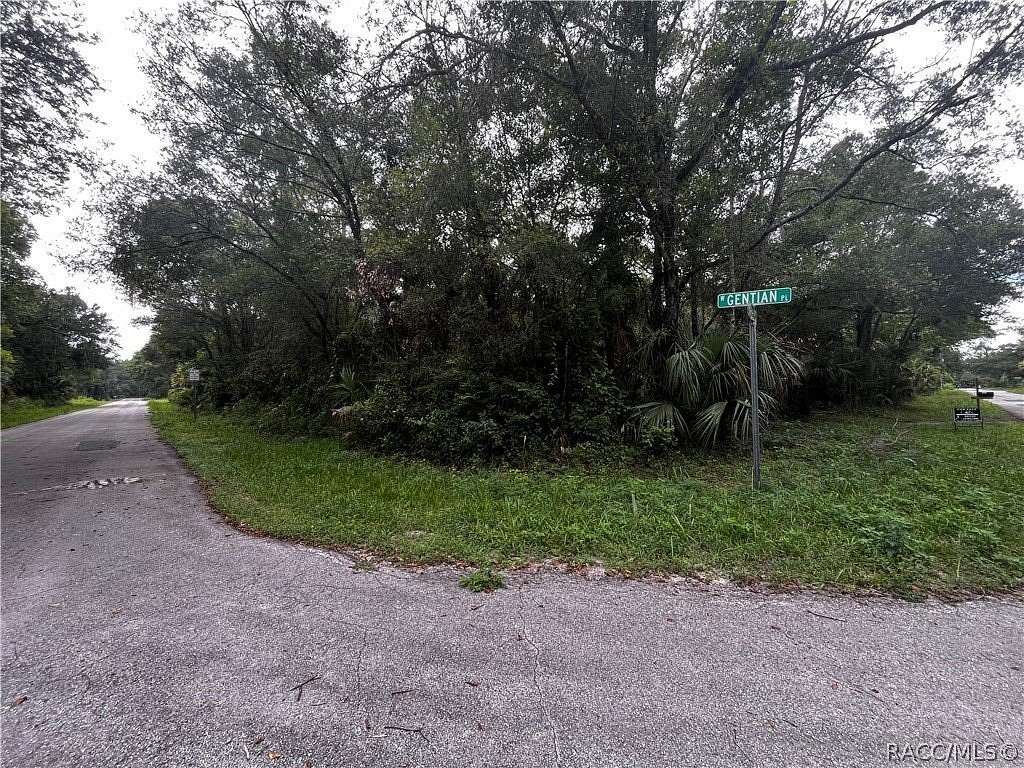 1.15 Acres of Residential Land for Sale in Crystal River, Florida