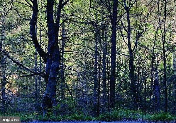 6.15 Acres of Land for Sale in Dante, Virginia