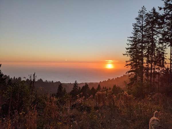40 Acres of Agricultural Land for Sale in Smith River, California