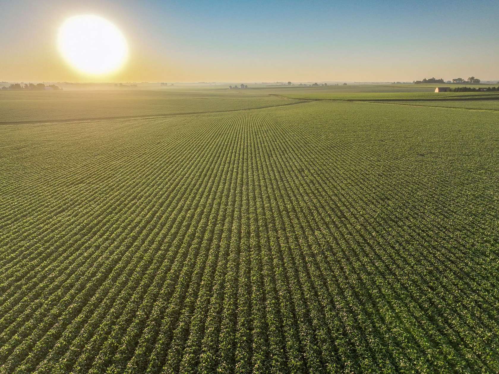 157 Acres of Land for Sale in Aplington, Iowa