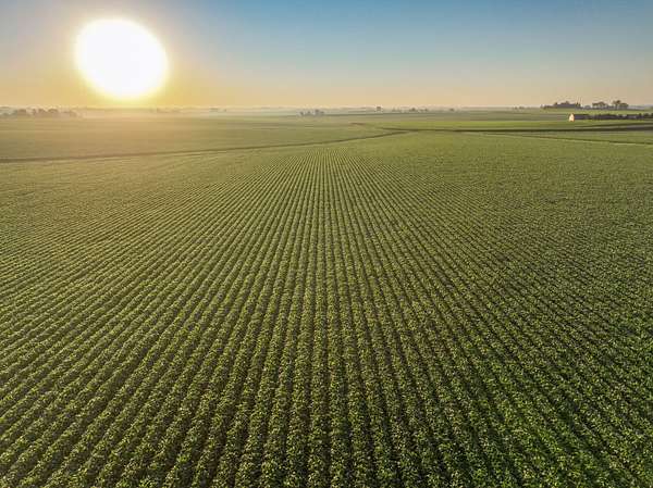 157 Acres of Land for Sale in Aplington, Iowa