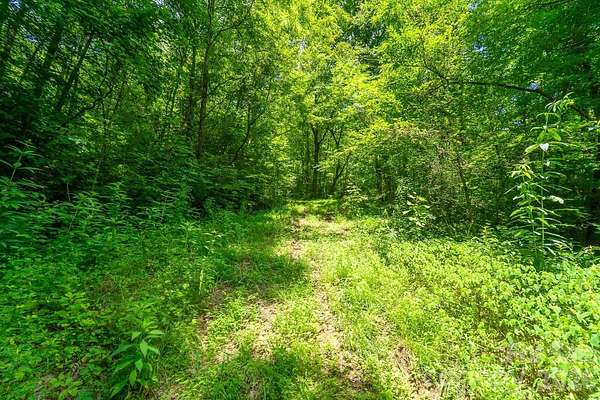 27.9 Acres of Recreational & Residential Land for Sale in Sylva, North Carolina