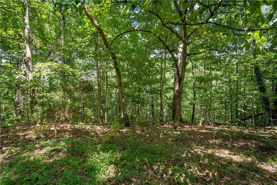 0.27 Acres of Residential Land for Sale in Bella Vista, Arkansas