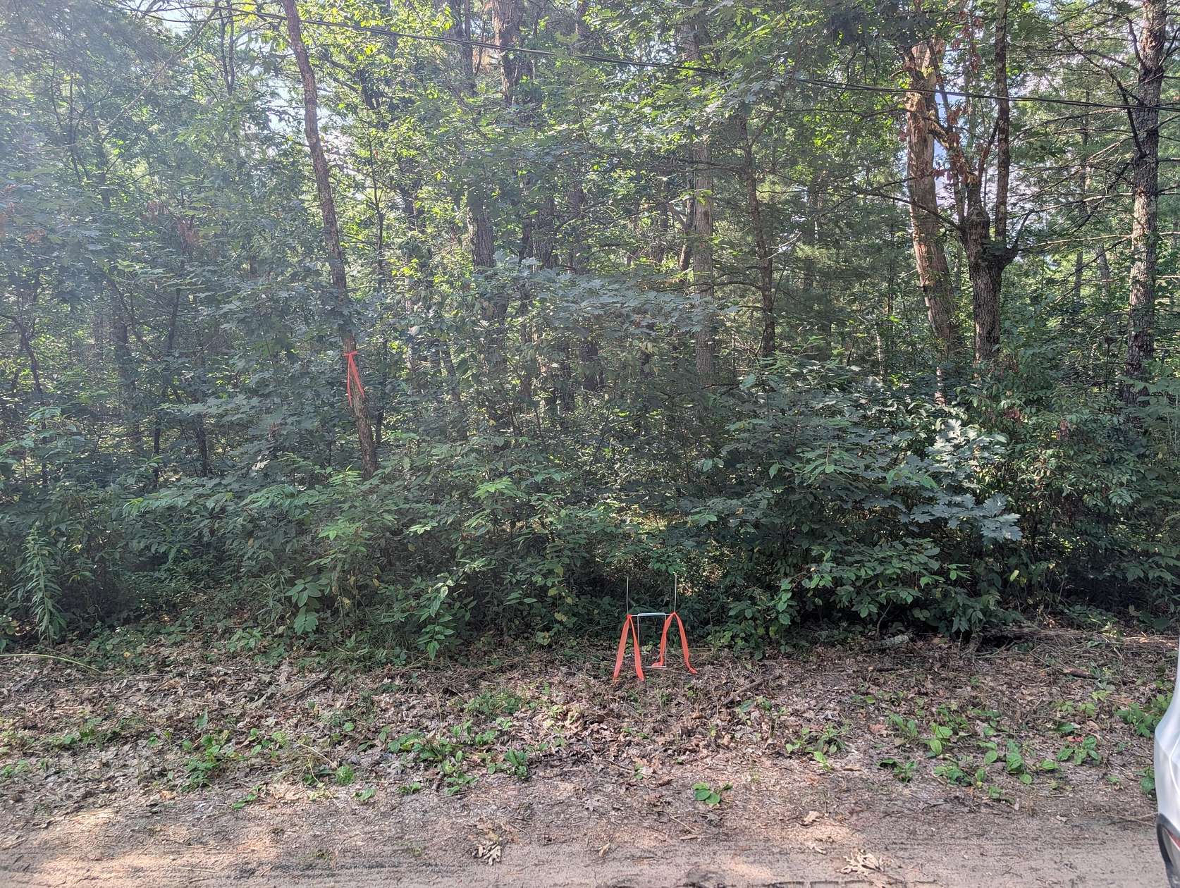 0.14 Acres of Residential Land for Sale in Baldwin, Michigan