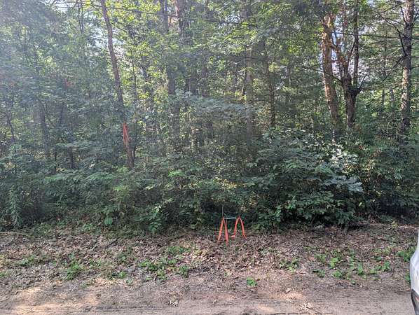 0.14 Acres of Residential Land for Sale in Baldwin, Michigan