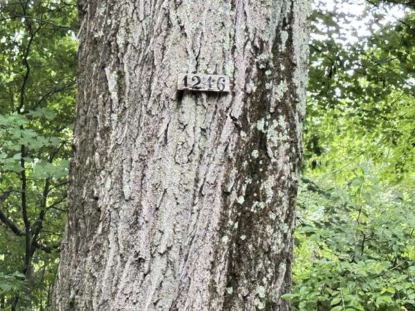 2.39 Acres of Land for Sale in White Cloud, Michigan