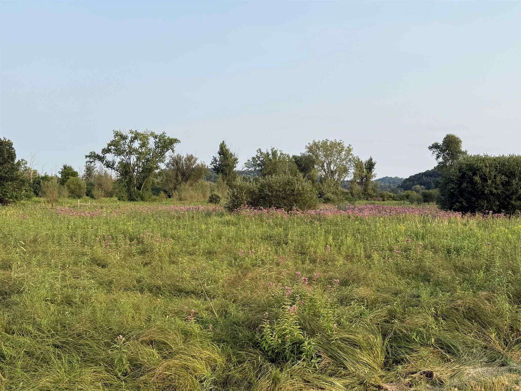 13 Acres of Land for Sale in Black Earth, Wisconsin