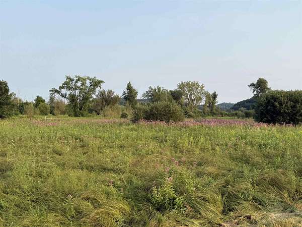 13 Acres of Land for Sale in Black Earth, Wisconsin