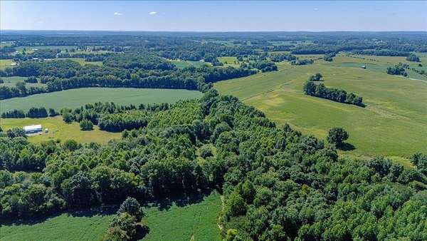 30 Acres of Recreational & Residential Land for Sale in Henderson, Kentucky