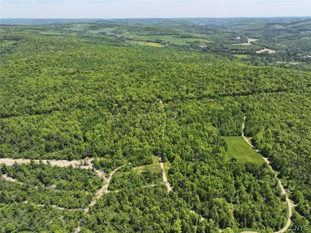 60 Acres of Recreational Land for Sale in Belmont, New York