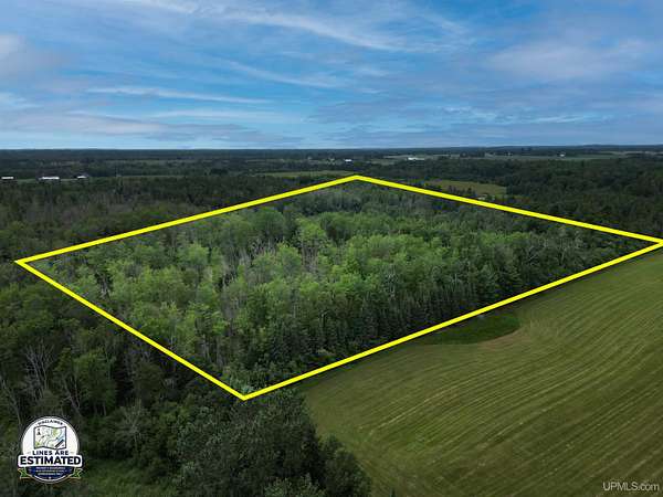 40 Acres of Recreational & Residential Land for Sale in Bark River, Michigan