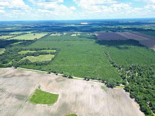 133 Acres of Land for Sale in Greenwood, Florida