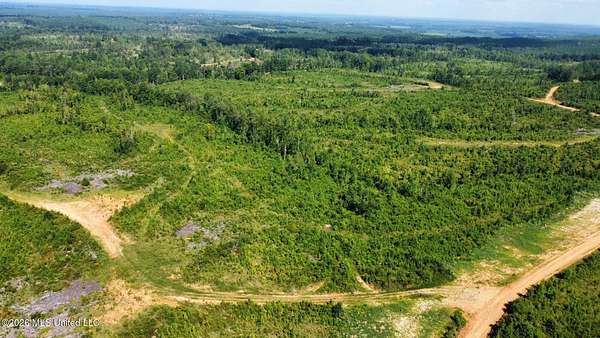 30 Acres of Recreational & Residential Land for Sale in Mantee, Mississippi