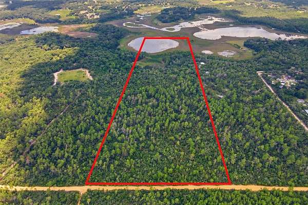 40 Acres of Recreational Land for Sale in Umatilla, Florida