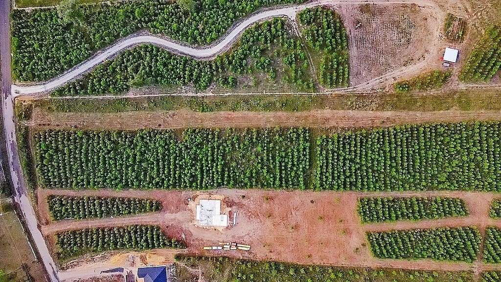 5 Acres of Land for Sale in Diboll, Texas