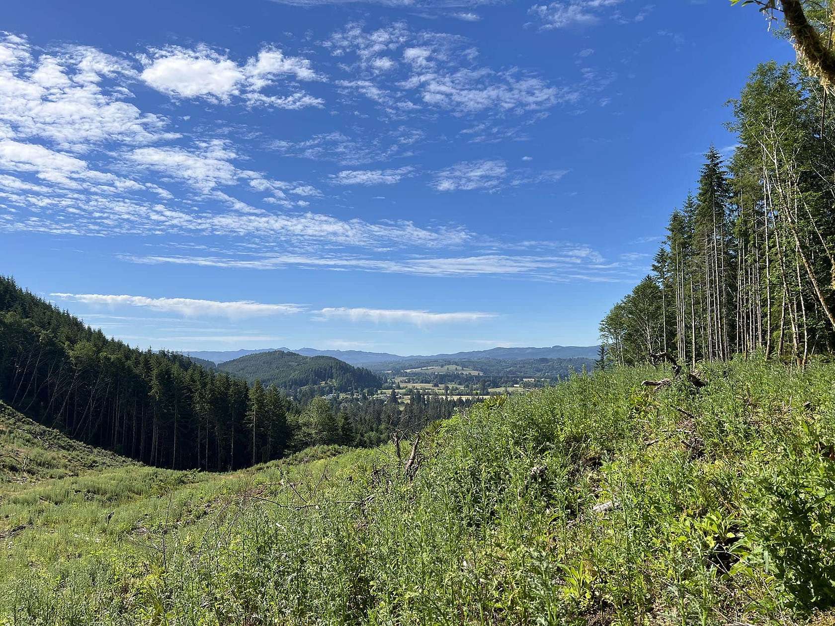 25 Acres of Recreational Land for Sale in Raymond, Washington