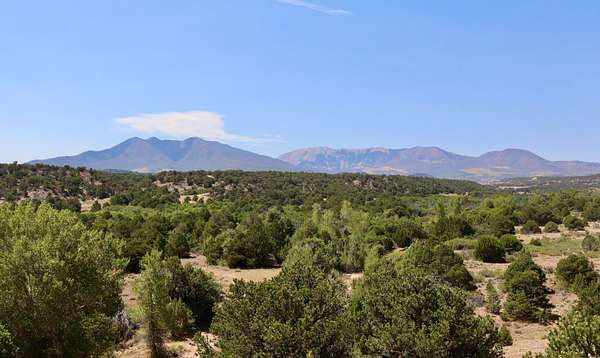 105 Acres of Land for Sale in Gardner, Colorado