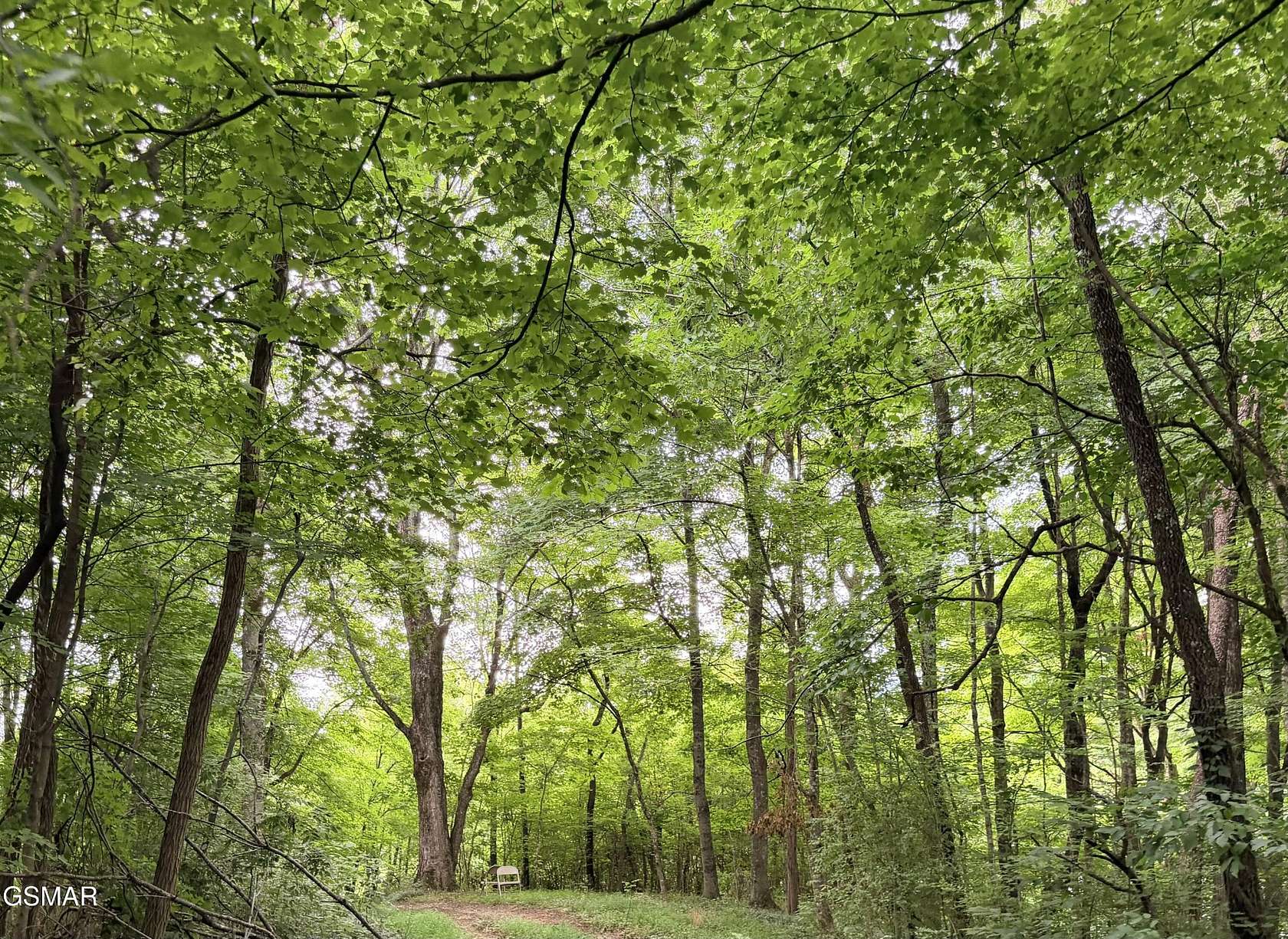 13.2 Acres of Recreational & Residential Land for Sale in Newport, Tennessee