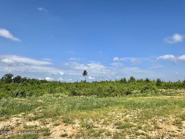 26 Acres of Recreational & Residential Land for Sale in Mantee, Mississippi