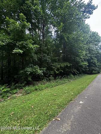 5 Acres of Residential Land for Sale in Byhalia, Mississippi