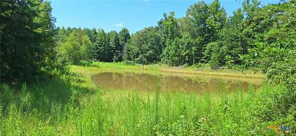 28.6 Acres of Recreational & Residential Land for Sale in Big Sandy, Texas