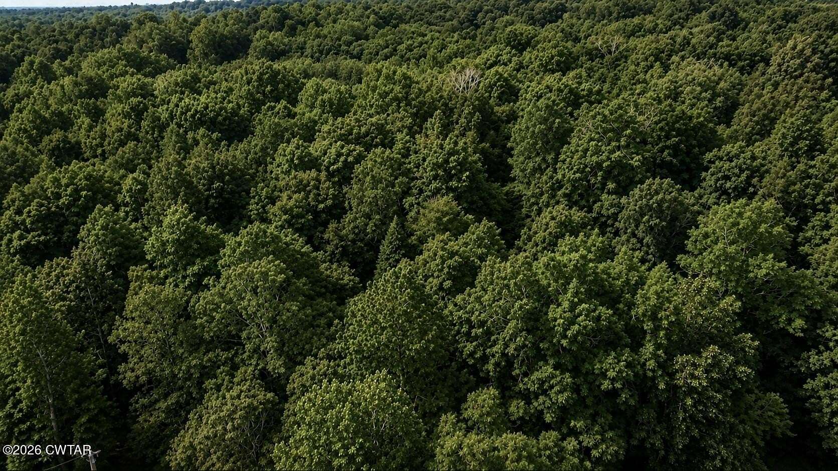 1.17 Acres of Residential Land for Sale in Lexington, Tennessee