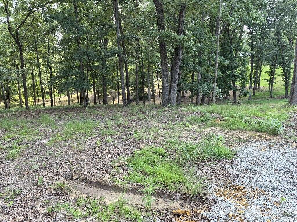 0.5 Acres of Land for Sale in Buchanan, Tennessee