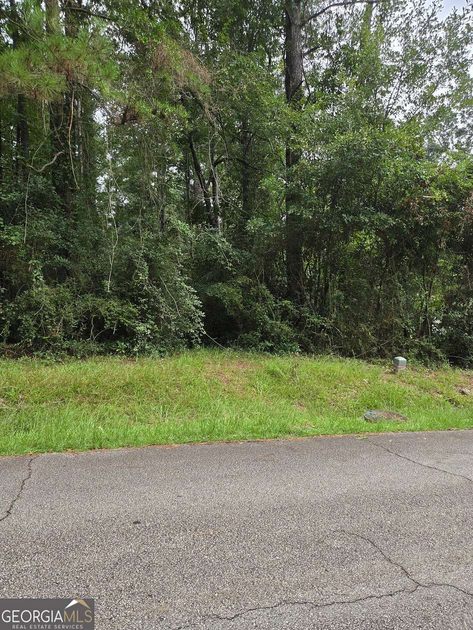 0.5 Acres of Residential Land for Sale in Stockbridge, Georgia