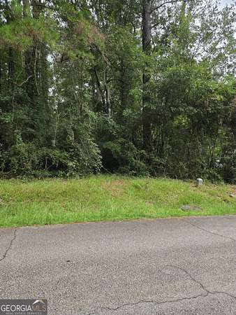 0.5 Acres of Residential Land for Sale in Stockbridge, Georgia