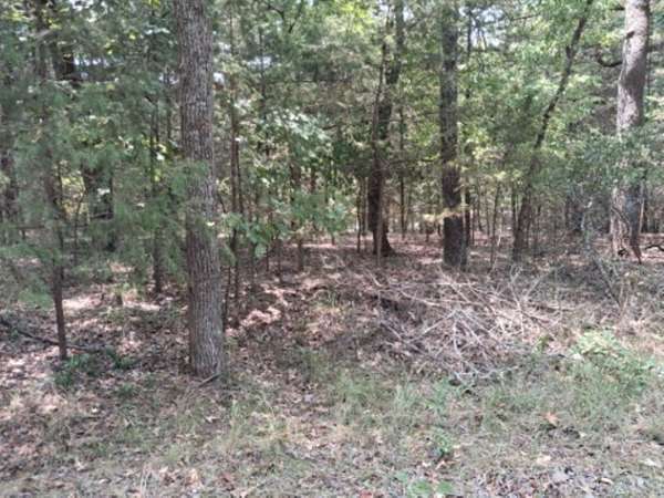 0.24 Acres of Residential Land for Sale in Murchison, Texas