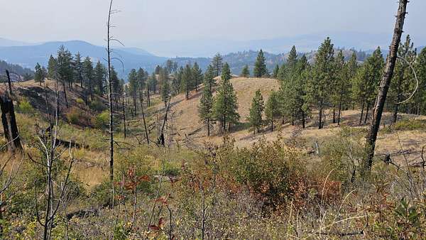 20 Acres of Land for Sale in Colville, Washington
