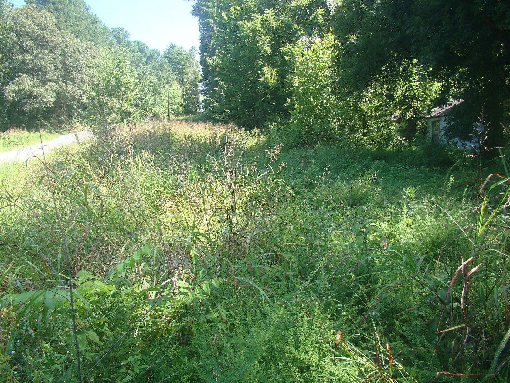 2 Acres of Land for Sale in Cadiz, Kentucky