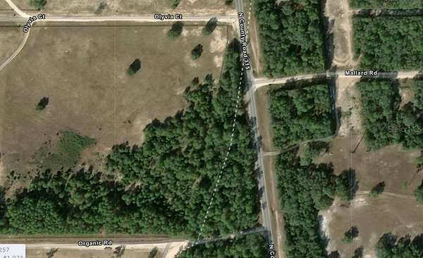 4 Acres of Residential Land for Sale in Melrose, Florida