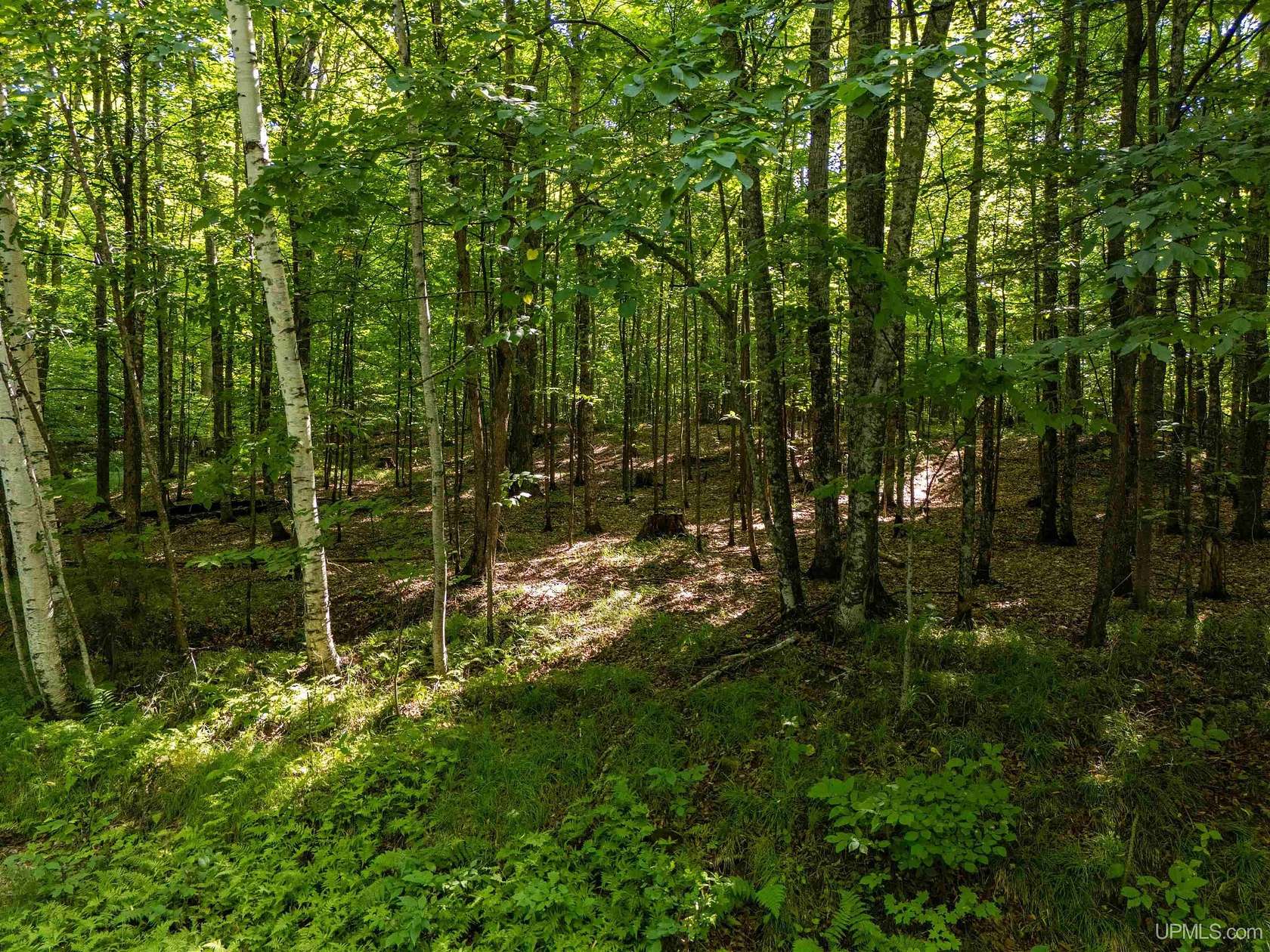 10.1 Acres of Land for Sale in Iron River Township, Michigan