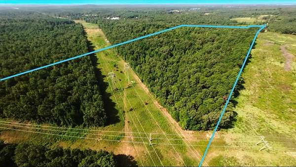38.5 Acres of Recreational & Residential Land for Sale in Pittsburg, Texas