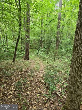 3 Acres of Residential Land for Sale in Scottsburg, Virginia