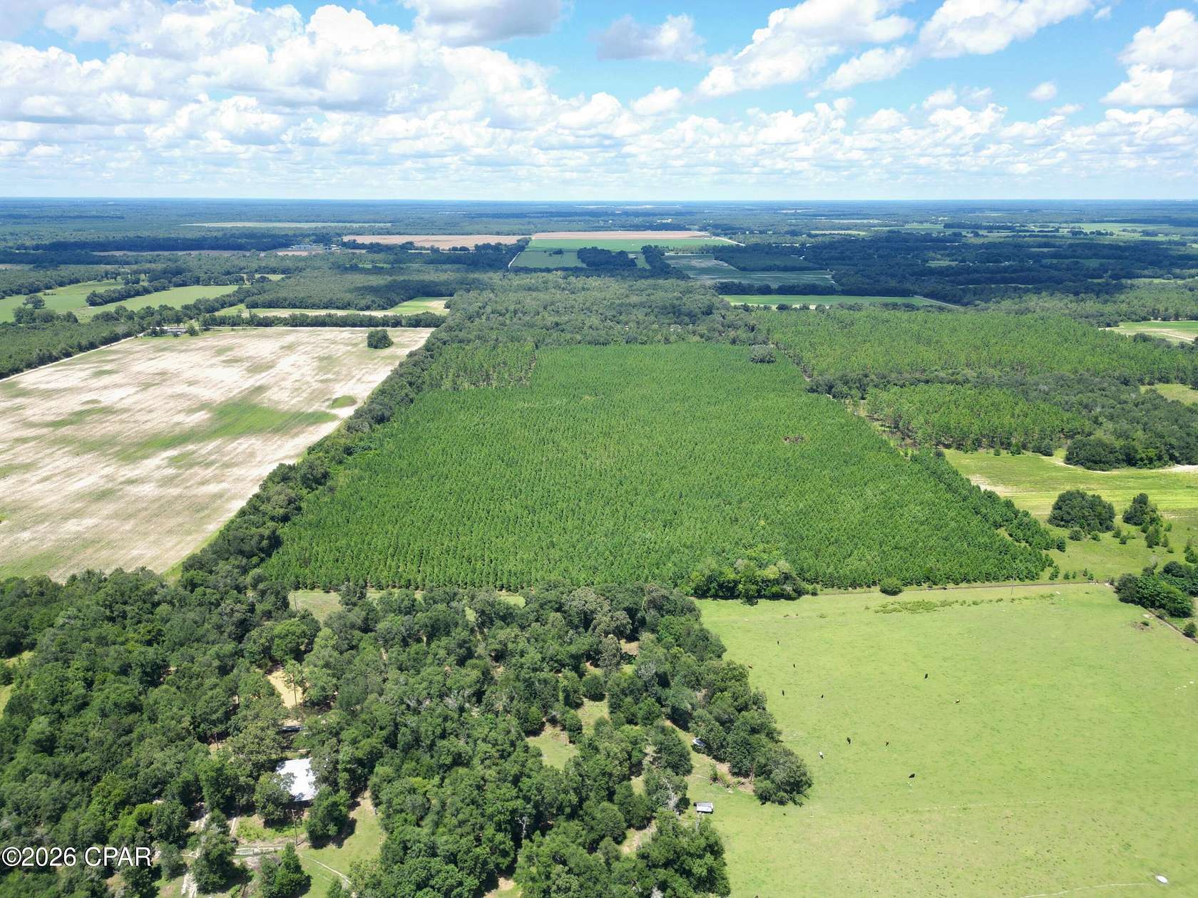 56 Acres of Land for Sale in Greenwood, Florida