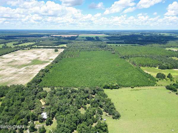 56 Acres of Land for Sale in Greenwood, Florida