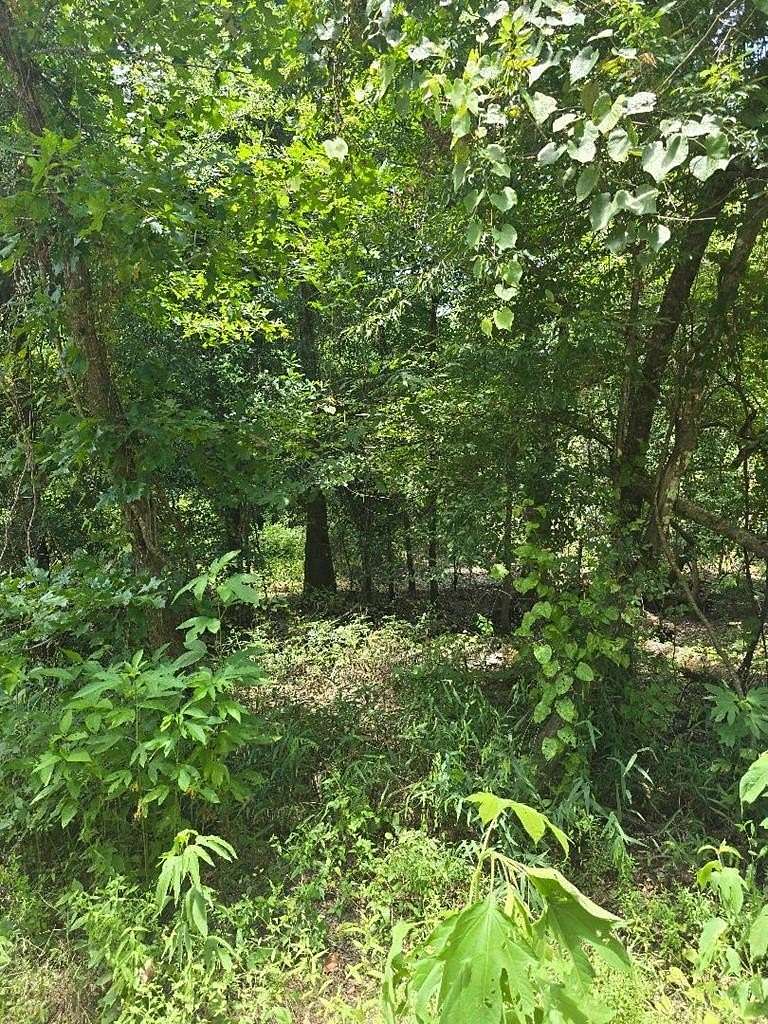 0.5 Acres of Residential Land for Sale in Orange, Texas