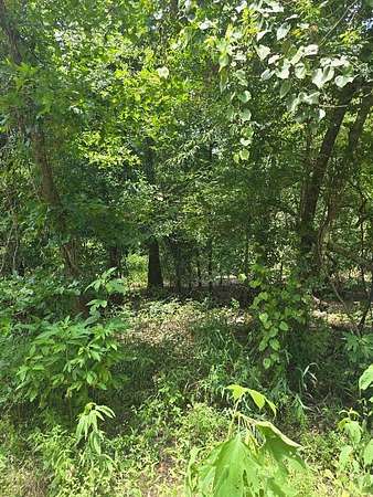 0.5 Acres of Residential Land for Sale in Orange, Texas