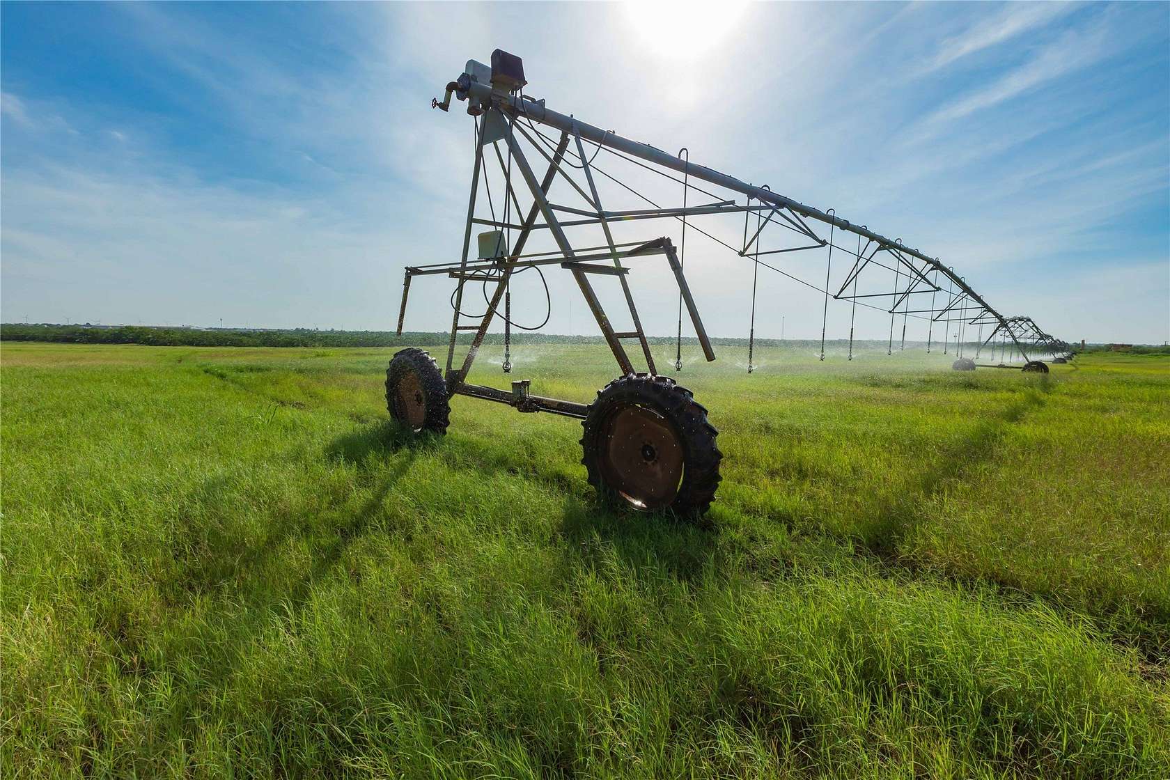 126 Acres of Agricultural Land for Sale in Snyder, Texas