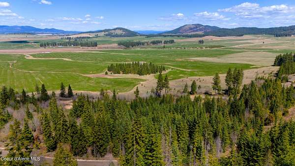 5 Acres of Residential Land for Sale in Plummer, Idaho