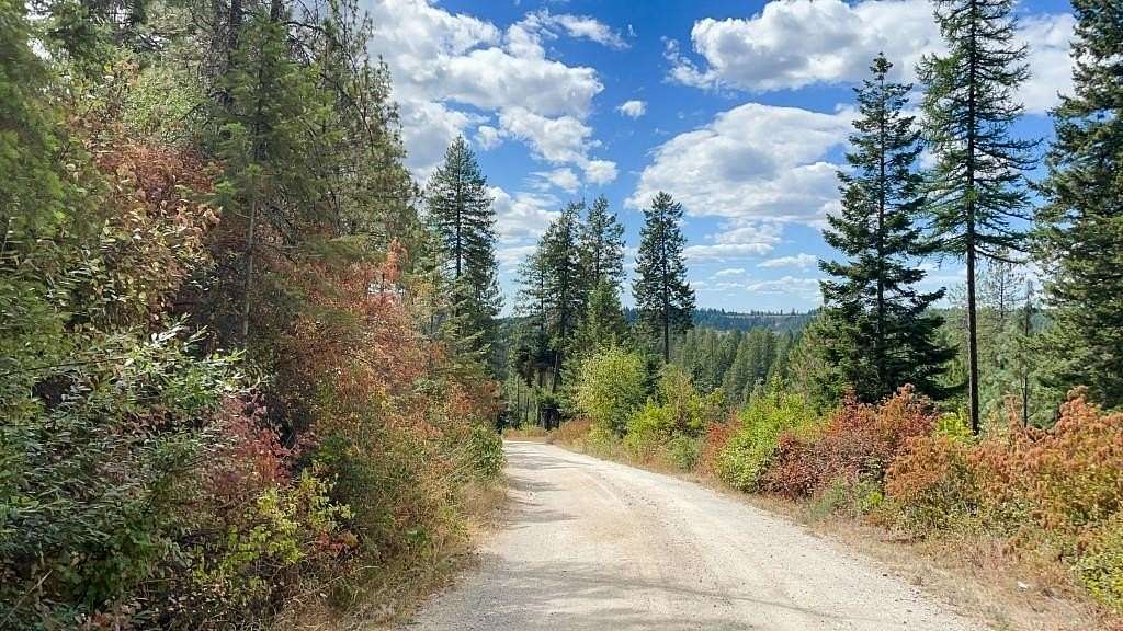 11 Acres of Land for Sale in Chattaroy, Washington