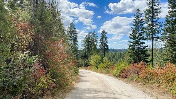 11 Acres of Land for Sale in Chattaroy, Washington