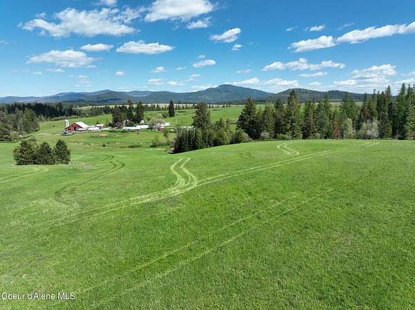 40 Acres of Recreational Land for Sale in St. Maries, Idaho