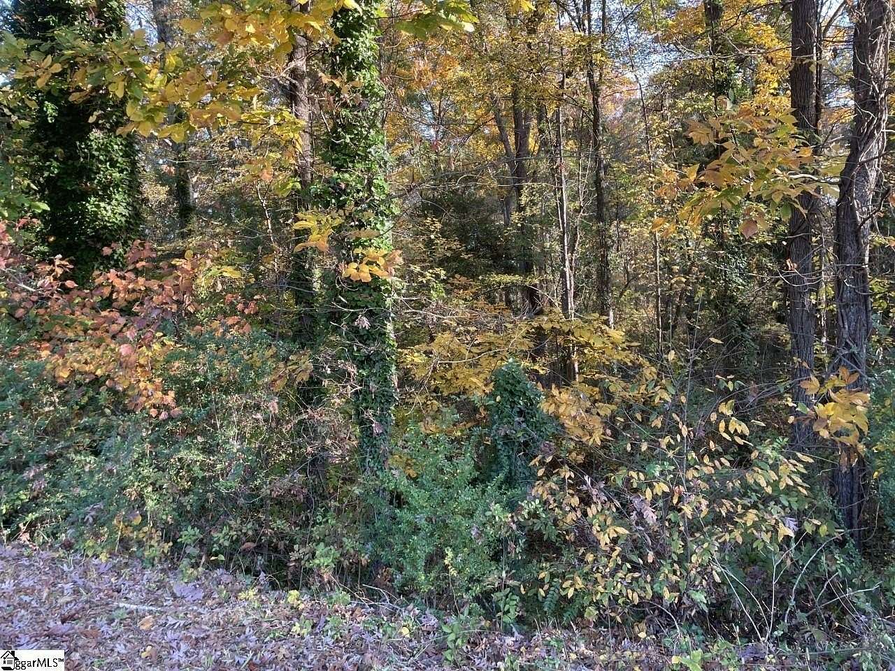 0.46 Acres of Land for Sale in Anderson, South Carolina
